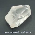 Cuart lemurian