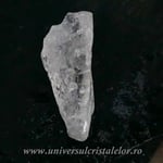 Cuart lemurian (radacina)
