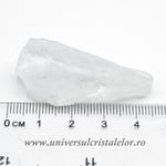 Cuart lemurian (radacina)