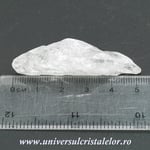 Cuart lemurian (radacina)