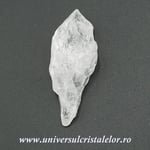 Cuart lemurian (radacina)