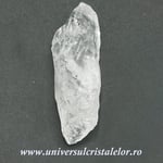 Cuart lemurian (radacina)