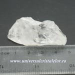 Cuart lemurian (radacina)