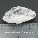 Cuart lemurian (radacina)
