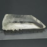 Cuart lemurian