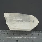 Cuart lemurian