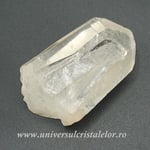 Cuart lemurian