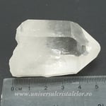 Cuart lemurian