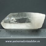 Cuart lemurian