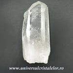 Cuart lemurian