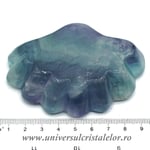 Bol fluorina multicolor 03