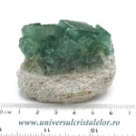 Fluorina verde