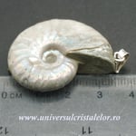 Pandantiv amonit cleoniceras