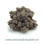 Coprolit de dinozaur