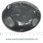 Orthoceras bol rotund