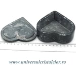 Caseta bijuterii orthoceras