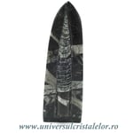 Orthoceras placa cu baza