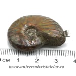 Pandantiv amonit cleoniceras