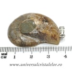 Pandantiv amonit cleoniceras