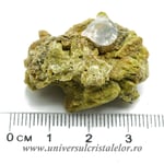 Nontronit ( cu Minesotait si Ferosaponit ) mineral unicat m3
