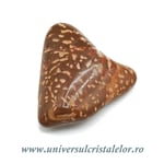 Jasp stea piatra rulata