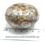 Jasp oceanic polisat