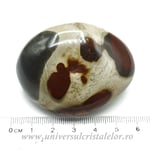 Jasp policrom polisat