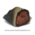 Jasp policrom polisat m4