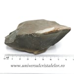 Jasp policrom polisat m4