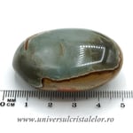 Jasp policrom slefuit