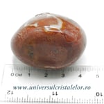 Jasp policrom polisat