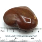 Inima lemn pietrificat