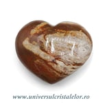Inima lemn pietrificat