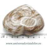 Inima lemn pietrificat