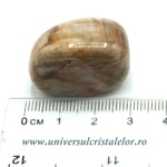 Lemn pietrificat piatra rulata