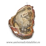 Pandantiv lemn pietrificat