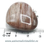 Pandantiv lemn pietrificat inima