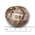 Lemn pietrificat polisat