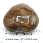 Inima lemn pietrificat