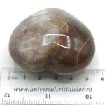 Inima lemn pietrificat