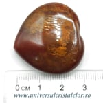 Inima lemn pietrificat