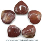 Inima lemn pietrificat