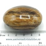 Lemn pietrificat polisat