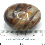 Lemn pietrificat polisat