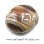 Lemn pietrificat polisat