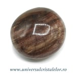 Lemn pietrificat polisat