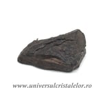 Meteorit Condrit unicat m01