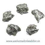 Meteorit Sikhote Alin