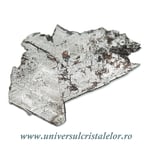 Meteorit Muonionalusta