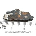 Meteorit Sericho Pallasite